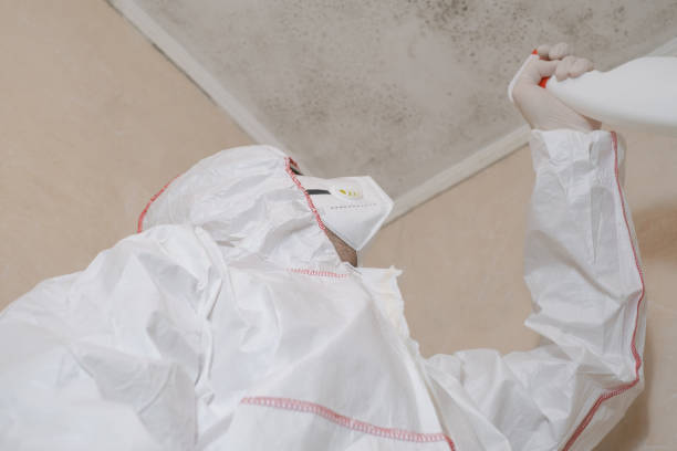 Best Crawl Space Mold Removal  in Olivet, TN