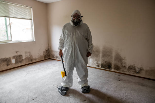 Best Mold Removal Process  in Olivet, TN